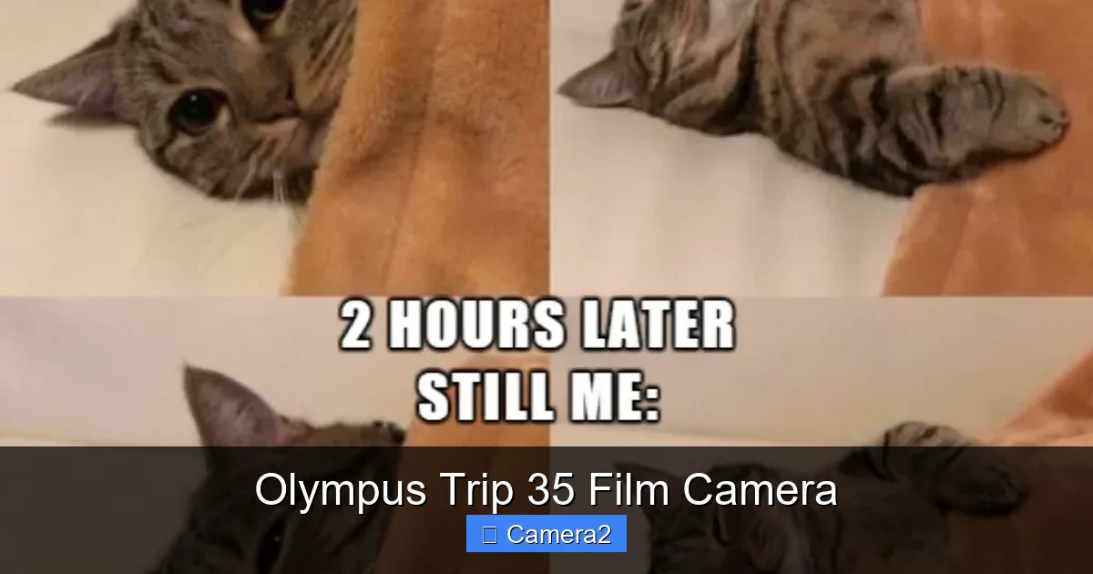 Olympus Trip 35 Film Camera