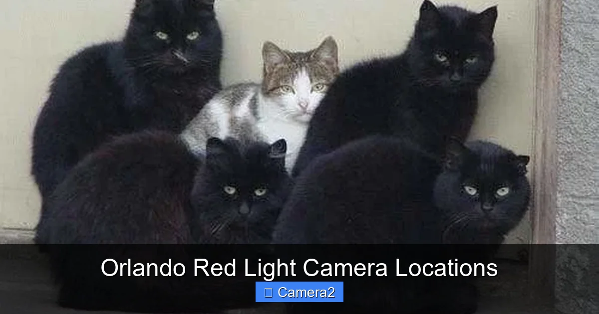 Orlando Red Light Camera Locations