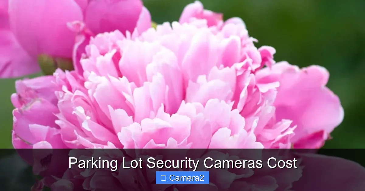 Parking Lot Security Cameras Cost