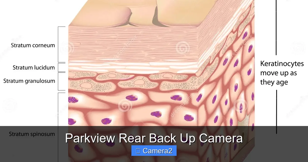 Parkview Rear Back Up Camera