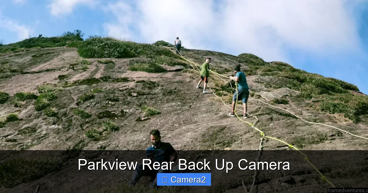 Parkview Rear Back Up Camera