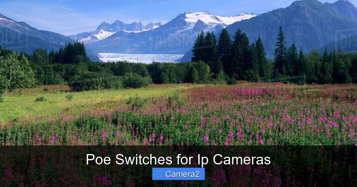 Poe Switches for Ip Cameras