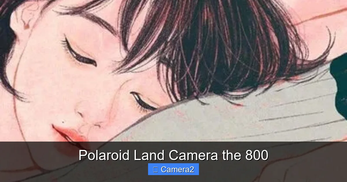 Polaroid Land Camera the 800