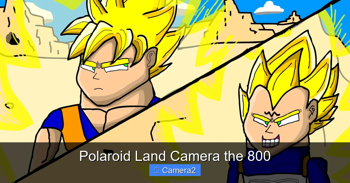Polaroid Land Camera the 800