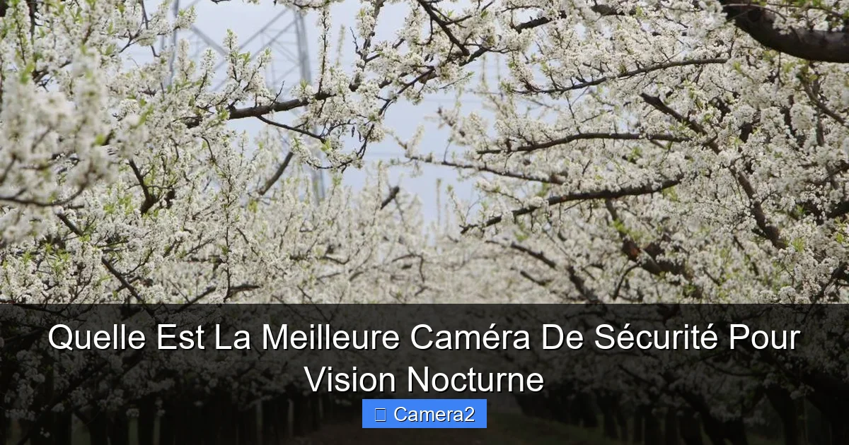 Quelle Est La Meilleure Caméra De Sécurité Pour Vision Nocturne