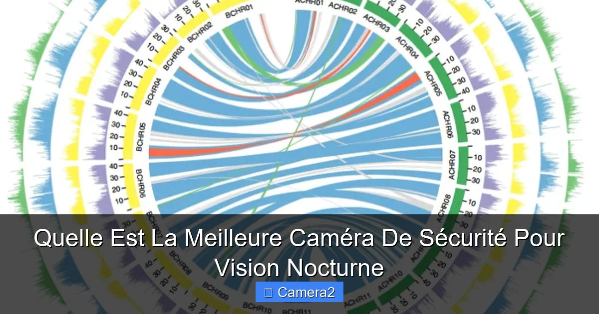 Quelle Est La Meilleure Caméra De Sécurité Pour Vision Nocturne