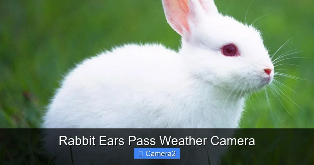 Rabbit Ears Pass Weather Camera