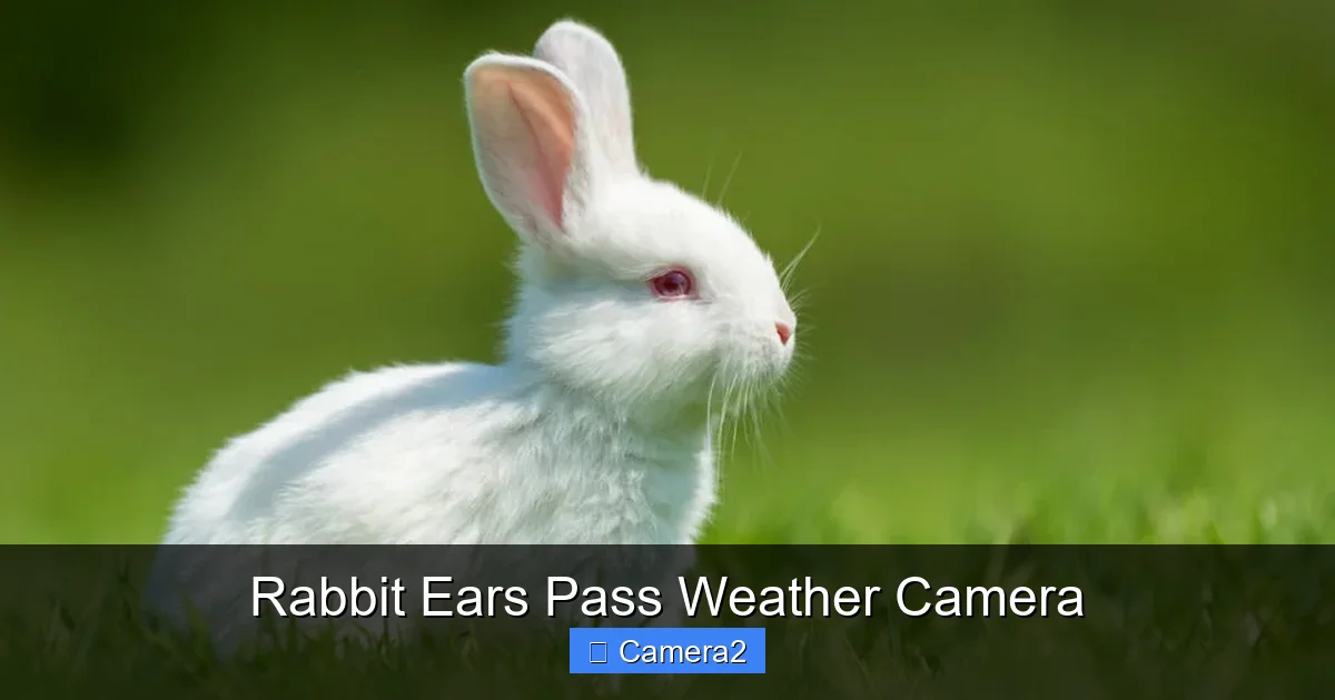 Rabbit Ears Pass Weather Camera