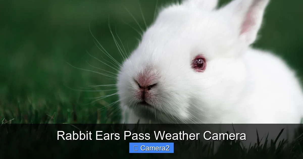 Rabbit Ears Pass Weather Camera