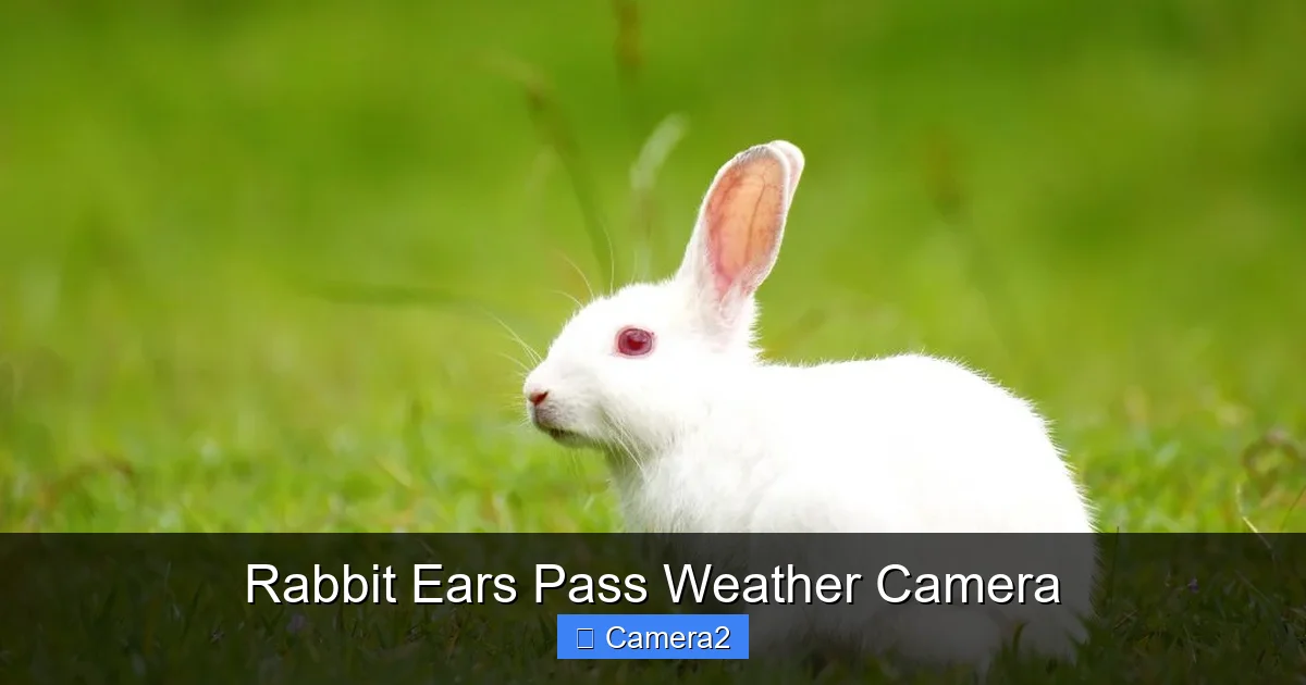 Rabbit Ears Pass Weather Camera