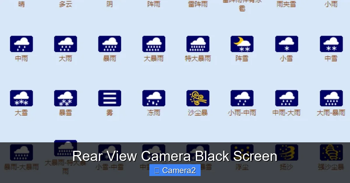 Rear View Camera Black Screen
