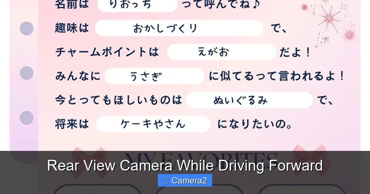 Rear View Camera While Driving Forward
