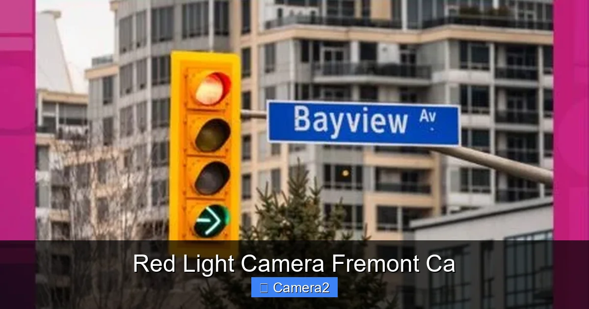 Red Light Camera Fremont Ca