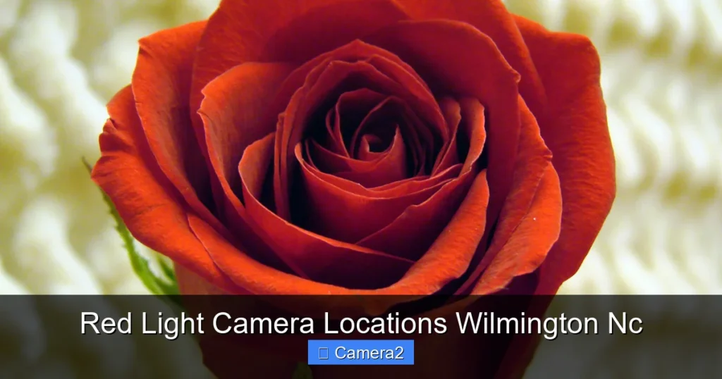Red Light Camera Locations Wilmington Nc