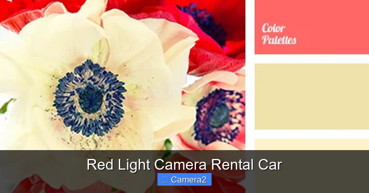 Red Light Camera Rental Car
