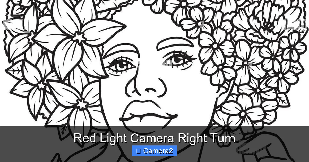 Red Light Camera Right Turn