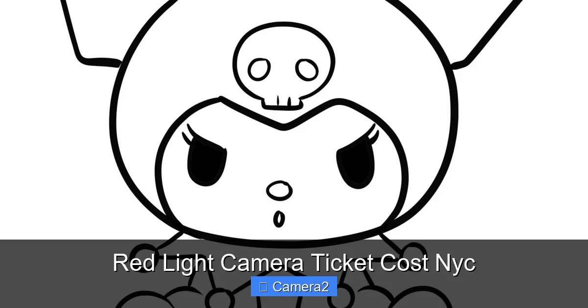 Red Light Camera Ticket Cost Nyc
