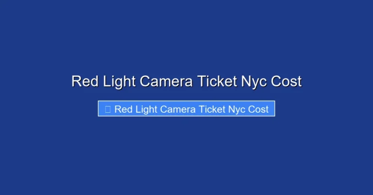 Red Light Camera Ticket Nyc Cost