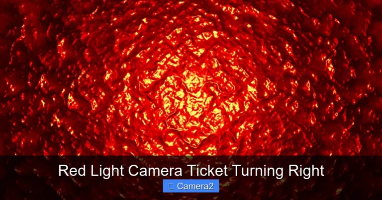 Red Light Camera Ticket Turning Right