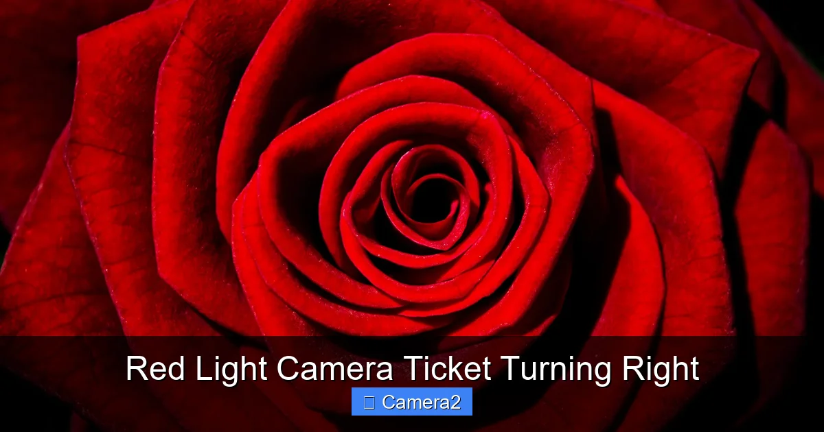Red Light Camera Ticket Turning Right