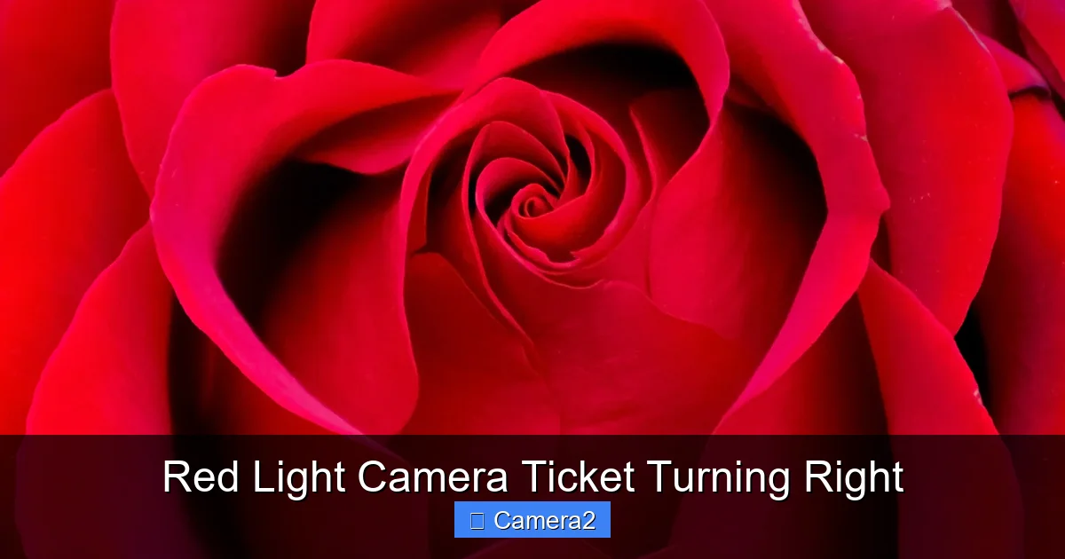 Red Light Camera Ticket Turning Right