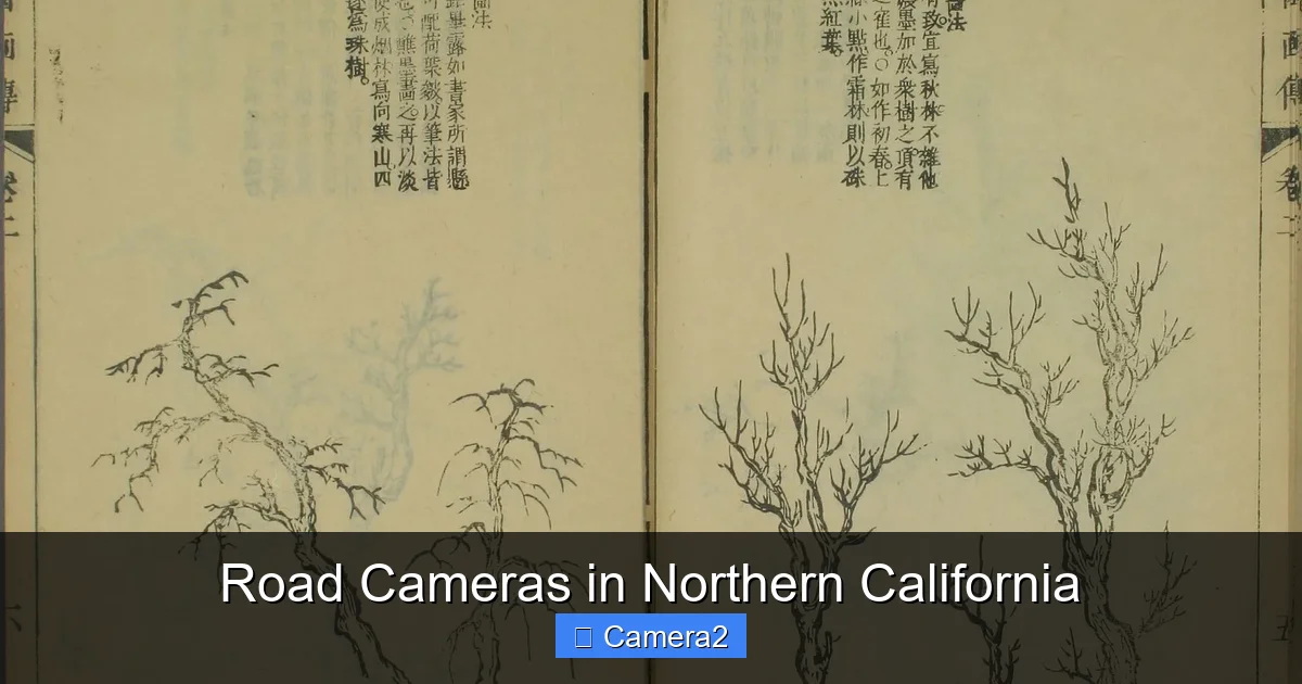Road Cameras in Northern California