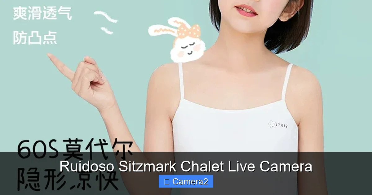 Ruidoso Sitzmark Chalet Live Camera