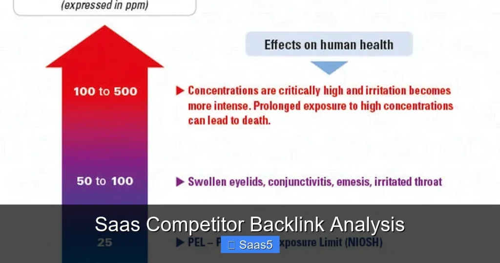 Saas Competitor Backlink Analysis