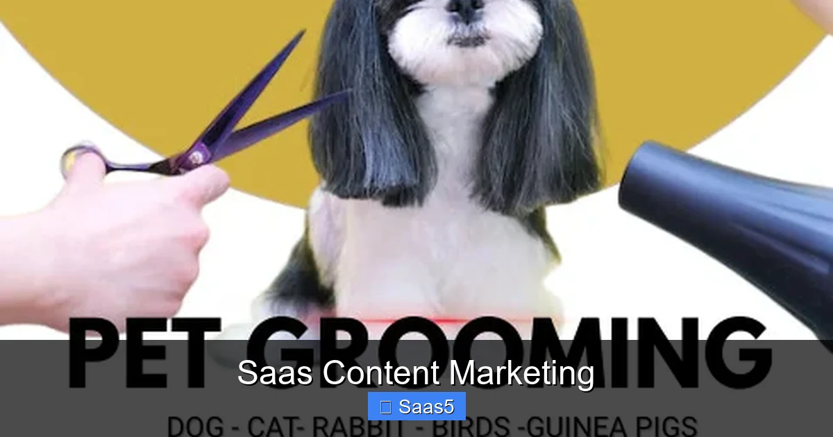 Saas Content Marketing