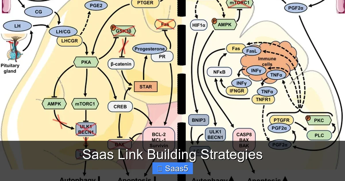 Saas Link Building Strategies