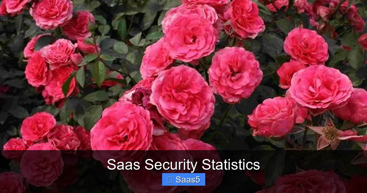 Saas Security Statistics