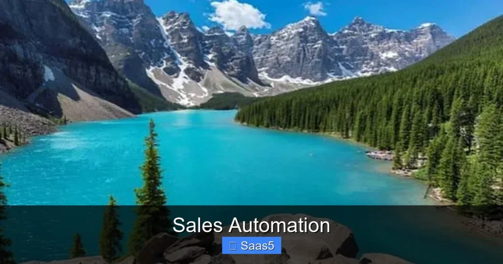 Sales Automation