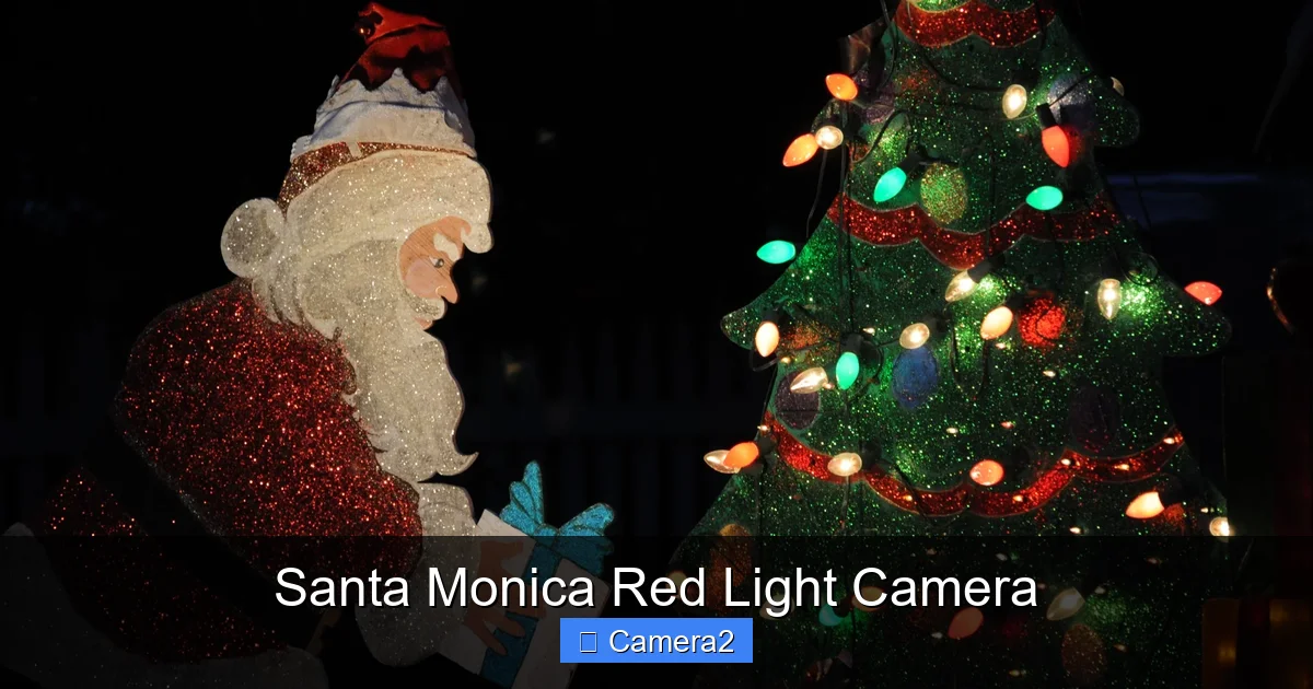 Santa Monica Red Light Camera
