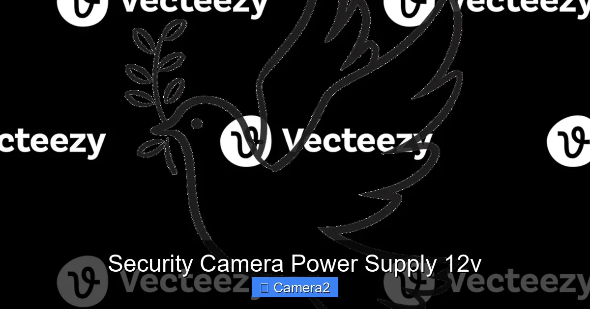 Security Camera Power Supply 12v