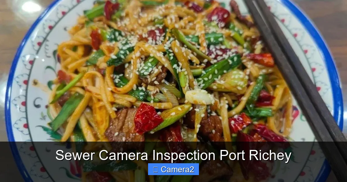 Sewer Camera Inspection Port Richey