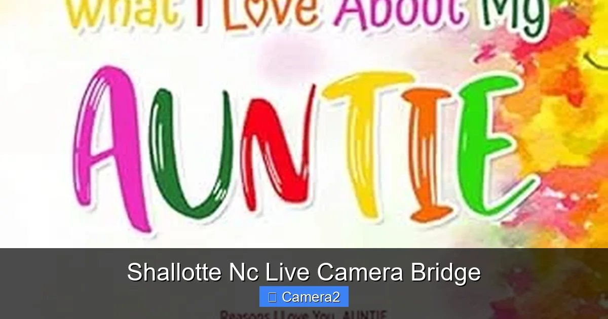 Shallotte Nc Live Camera Bridge