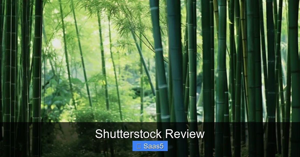 Shutterstock Review
