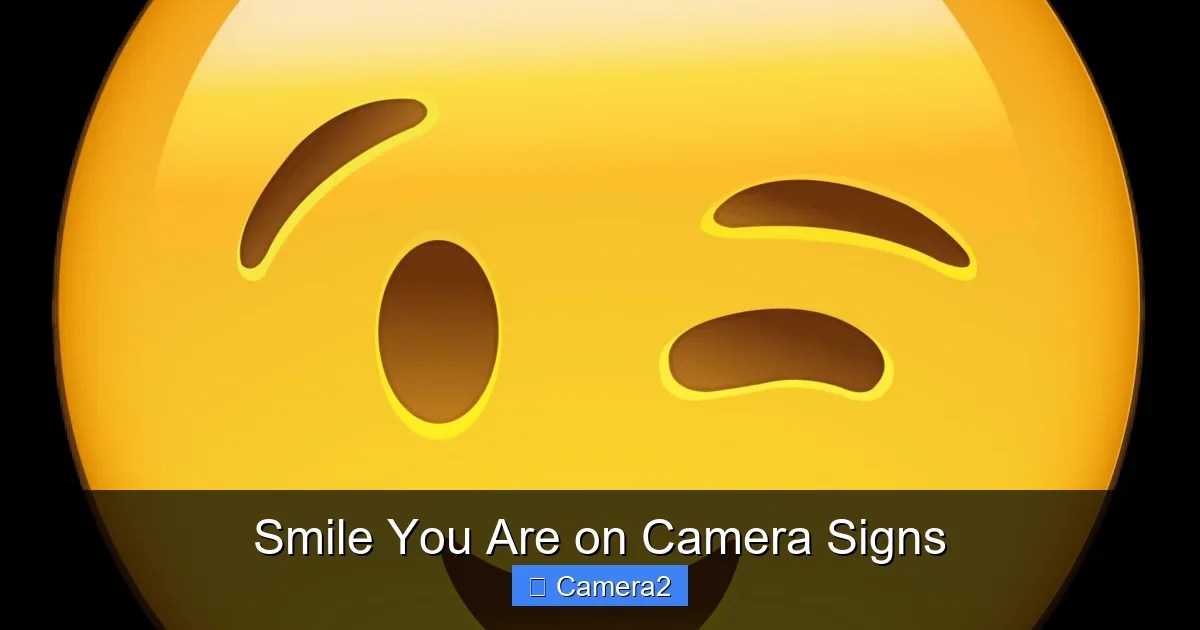 Smile You Are on Camera Signs