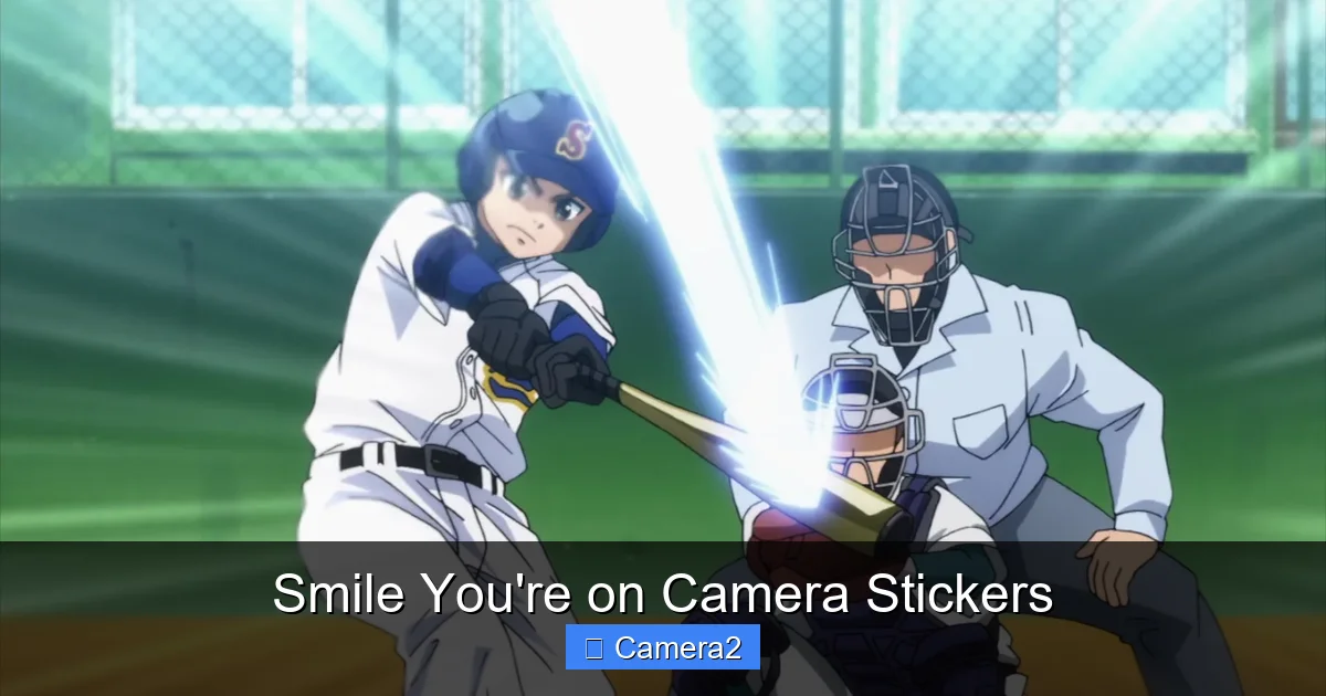 Smile You're on Camera Stickers