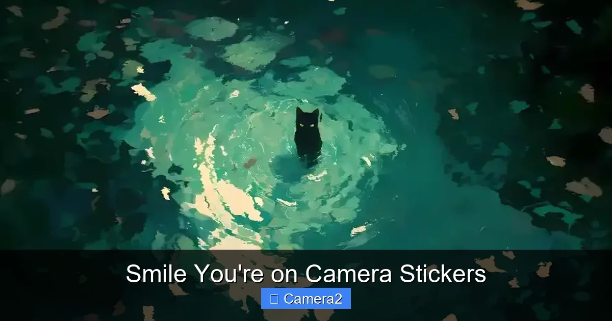 Smile You're on Camera Stickers