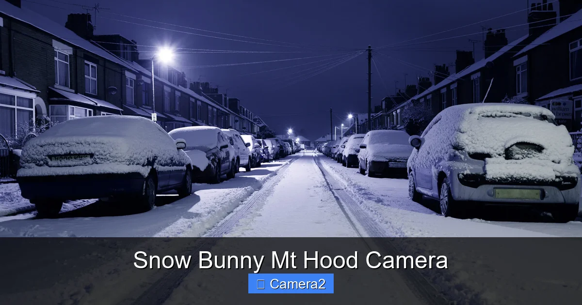 Snow Bunny Mt Hood Camera