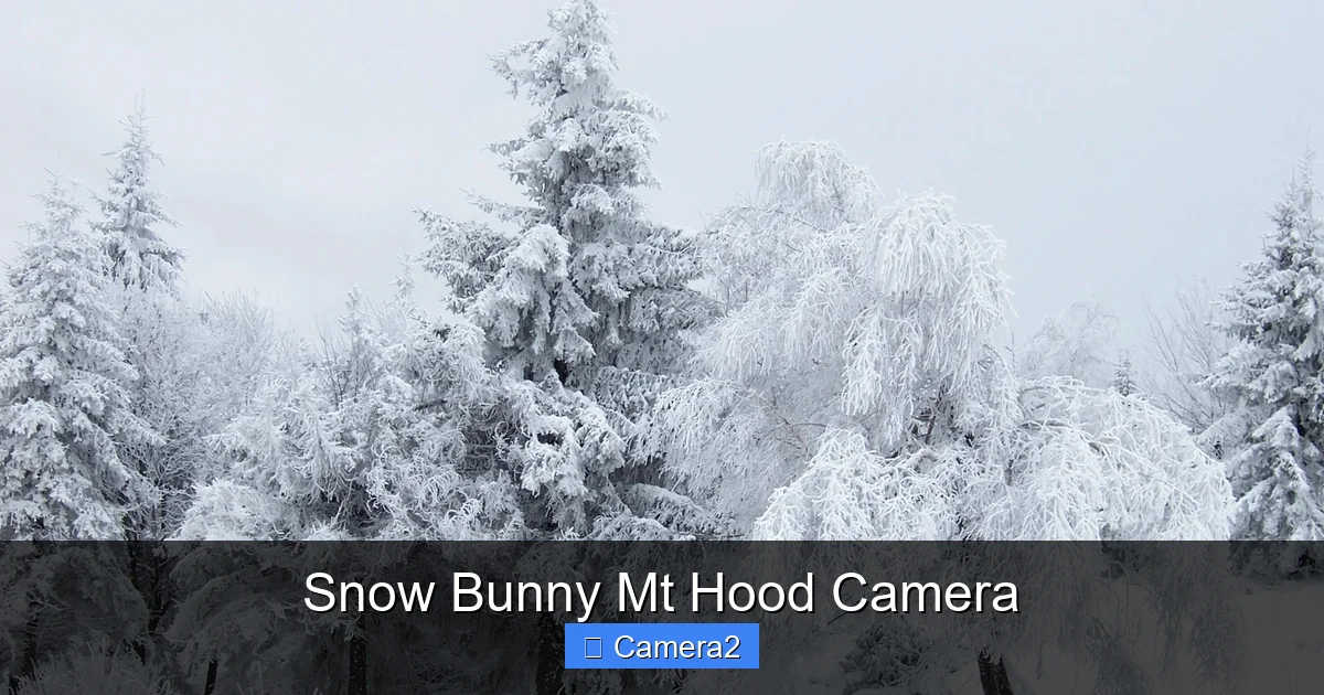 Snow Bunny Mt Hood Camera