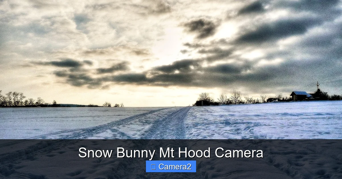 Snow Bunny Mt Hood Camera