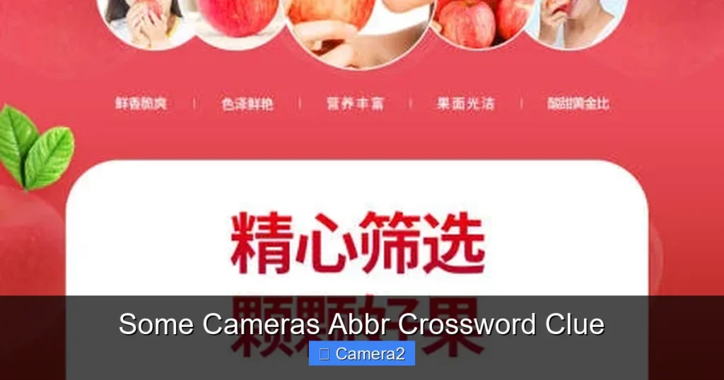 Some Cameras Abbr Crossword Clue
