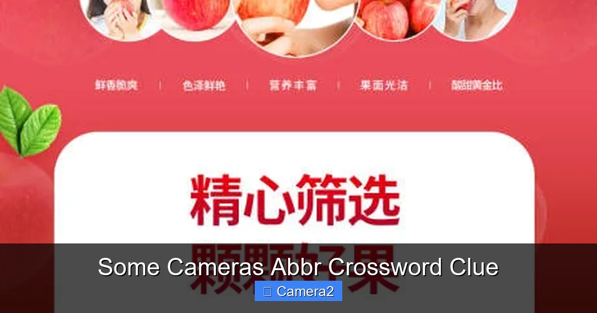 Some Cameras Abbr Crossword Clue