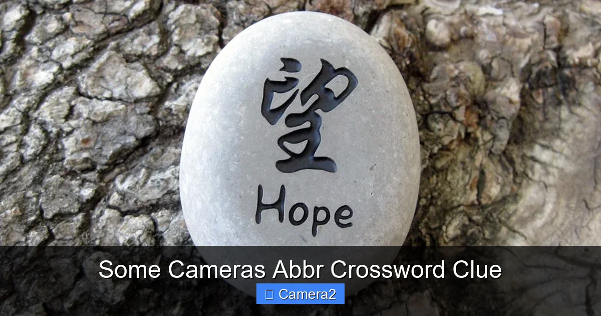 Some Cameras Abbr Crossword Clue