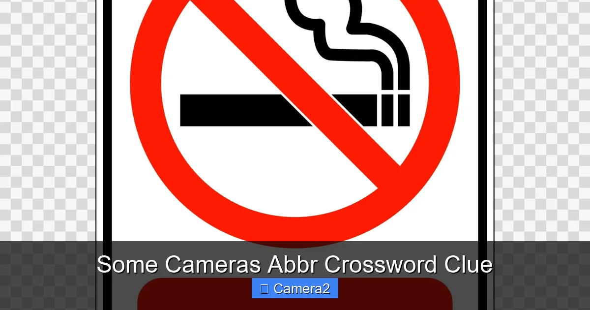 Some Cameras Abbr Crossword Clue