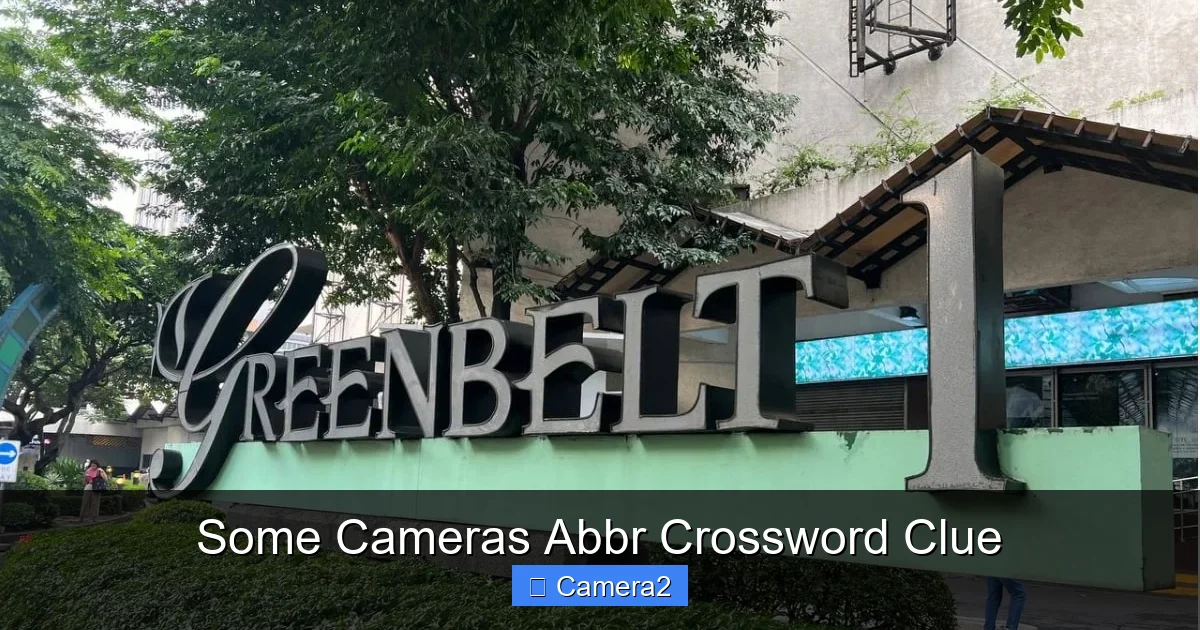 Some Cameras Abbr Crossword Clue