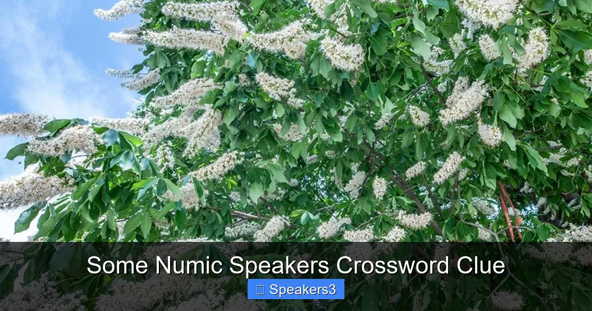 Some Numic Speakers Crossword Clue