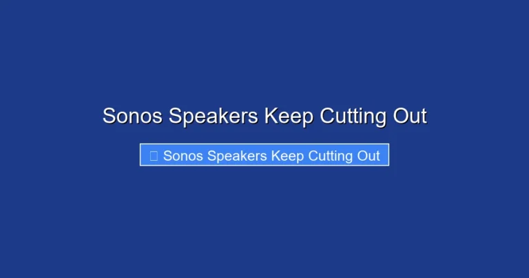 Sonos Speakers Keep Cutting Out